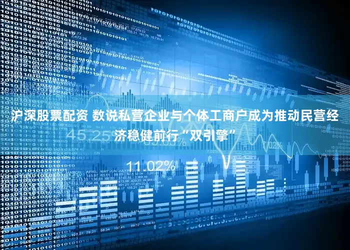 沪深股票配资 数说私营企业与个体工商户成为推动民营经济稳健前行“双引擎”