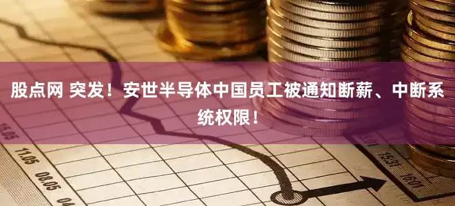 股点网 突发！安世半导体中国员工被通知断薪、中断系统权限！