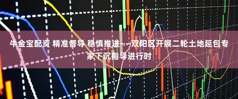 牛金宝配资 精准督导 稳慎推进——双阳区开展二轮土地延包专家下沉指导进行时